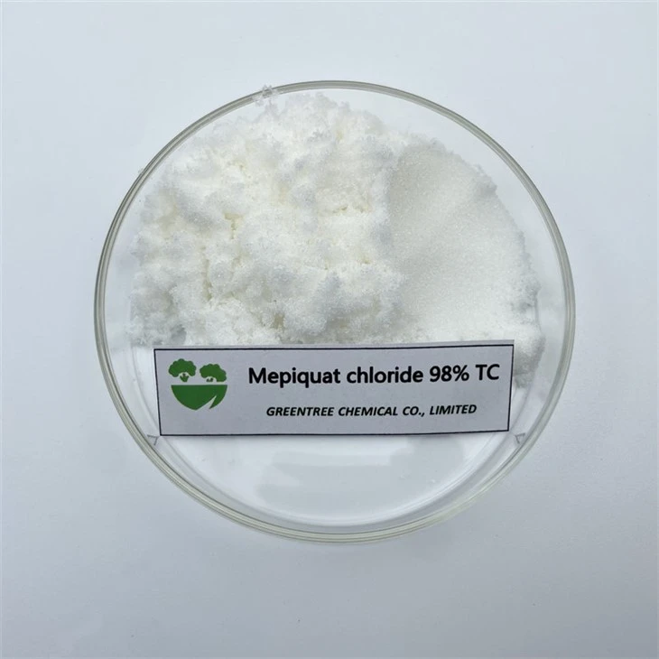 24307-26-4 Pgr Plant Growth Regulator 98%Tc Mepiquat Chloride in Chemicals