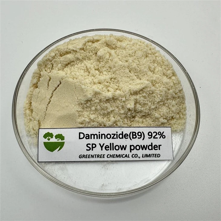 CAS No. 1596-84-5 Plant Hormone Daminozide (B9) Pgr 92% SP