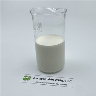 Азоксистробин 250g/l SC Chemicals Фунгицид Бактерицид