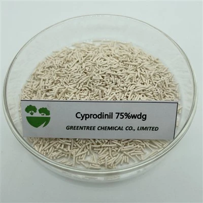 C14H15N3 Фунгицид Cyprodinil 75% Wdg Бактерицид
