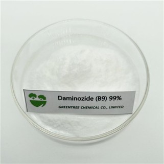 Daminozide B9 99% Tc Серията Control Overgrowth