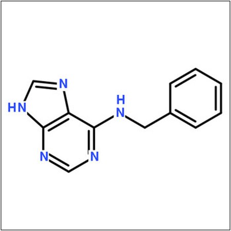 6-Benzylaminopurine 6-Benzylaminopurine
